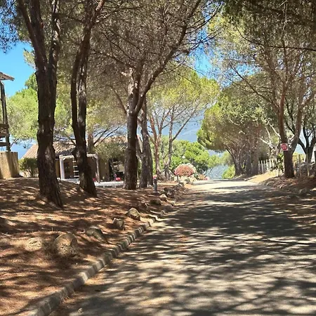 شقة Location Saisonniere - T2 De 33m2 A Di Ferro